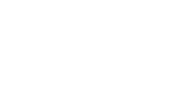 The image shows the United Airlines logo with the word "UNITED" in capital letters and a globe grid design on the right side.